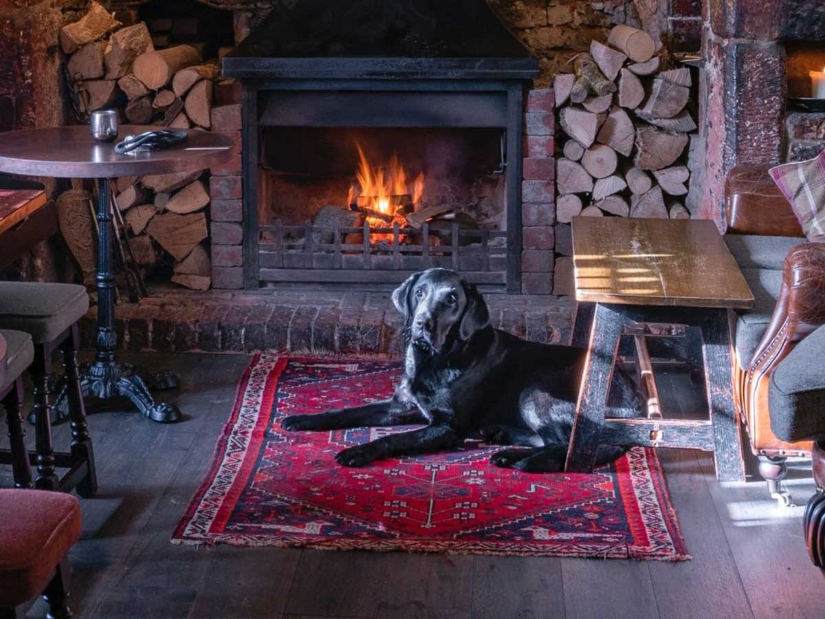 Dog Friendly Cottages